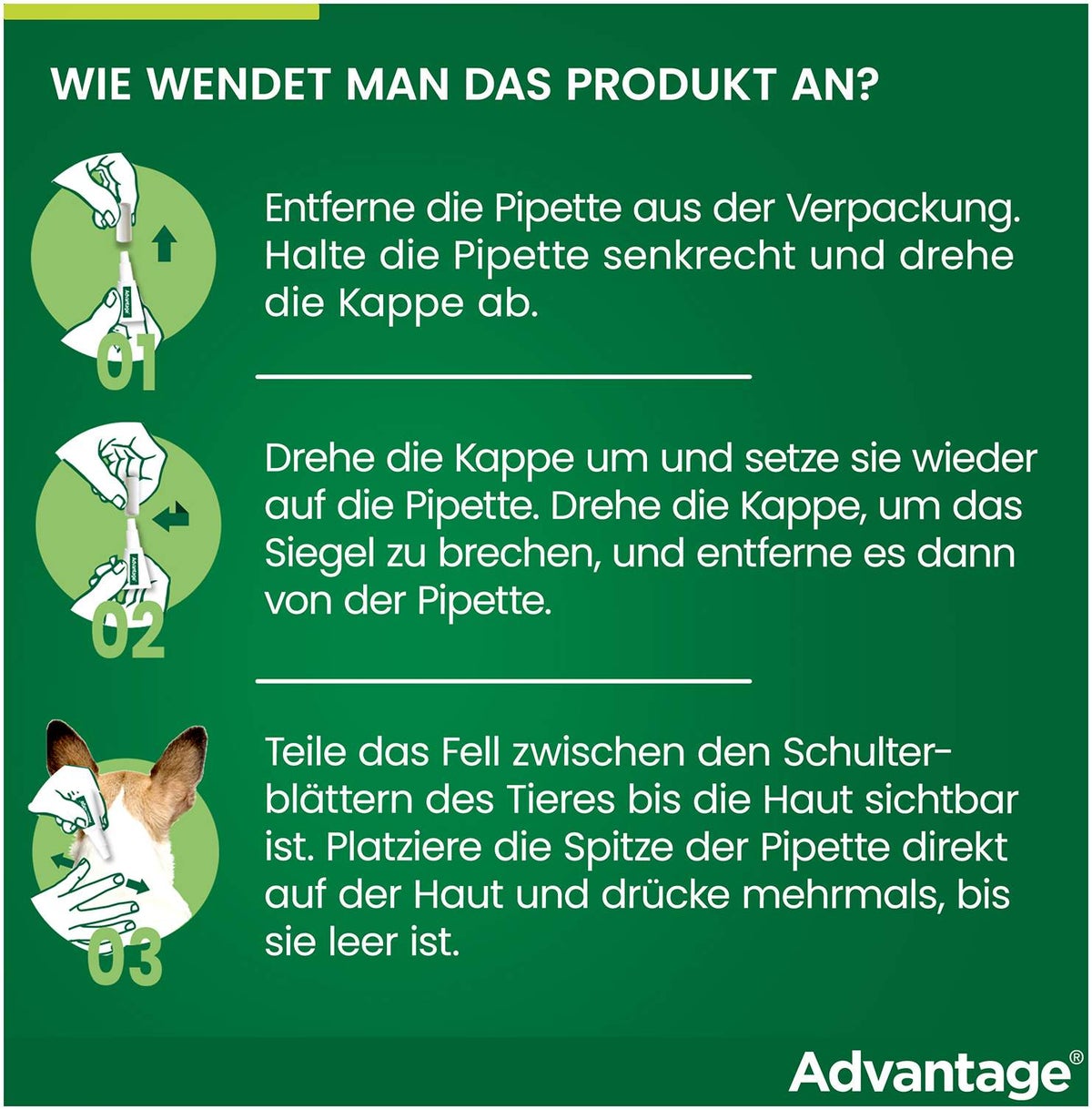 Advantage 250 Lösung für Hunde 10 - 25 kg 4 Einzeldosispipetten