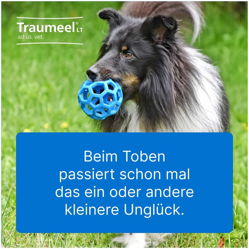 Traumeel Lt Ad Us.Vet.Tabletten 250 Stück