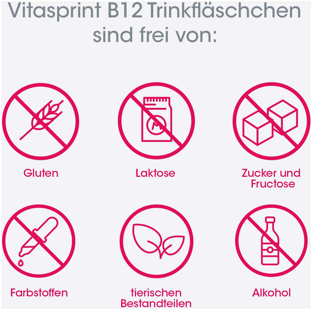 Vitasprint B12 2 x 34 Trinkfläschchen