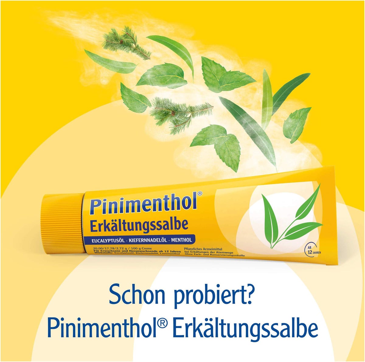 Pinimenthol Erkältungsbad 30 ml