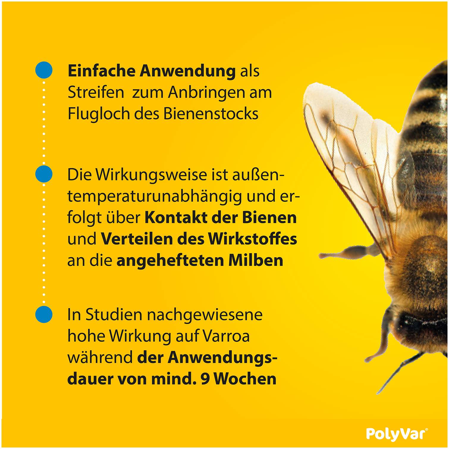 Polyvar Yellow 275 mg imprägnierter Streifen für den Bienenstock 10 Streifen