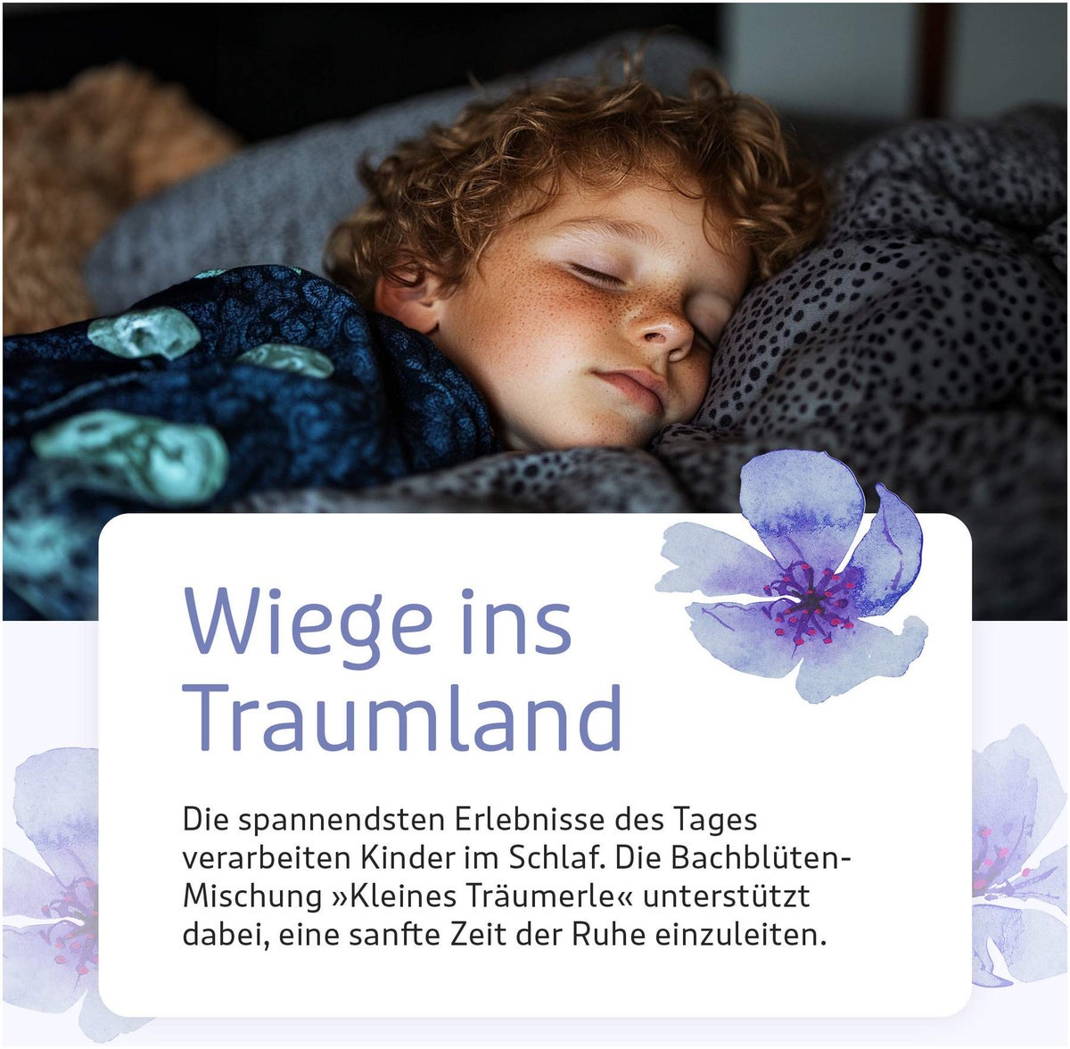Bachblüten Kinder Kleines Träumerle 10 G Globulini Nach Dr.Bach