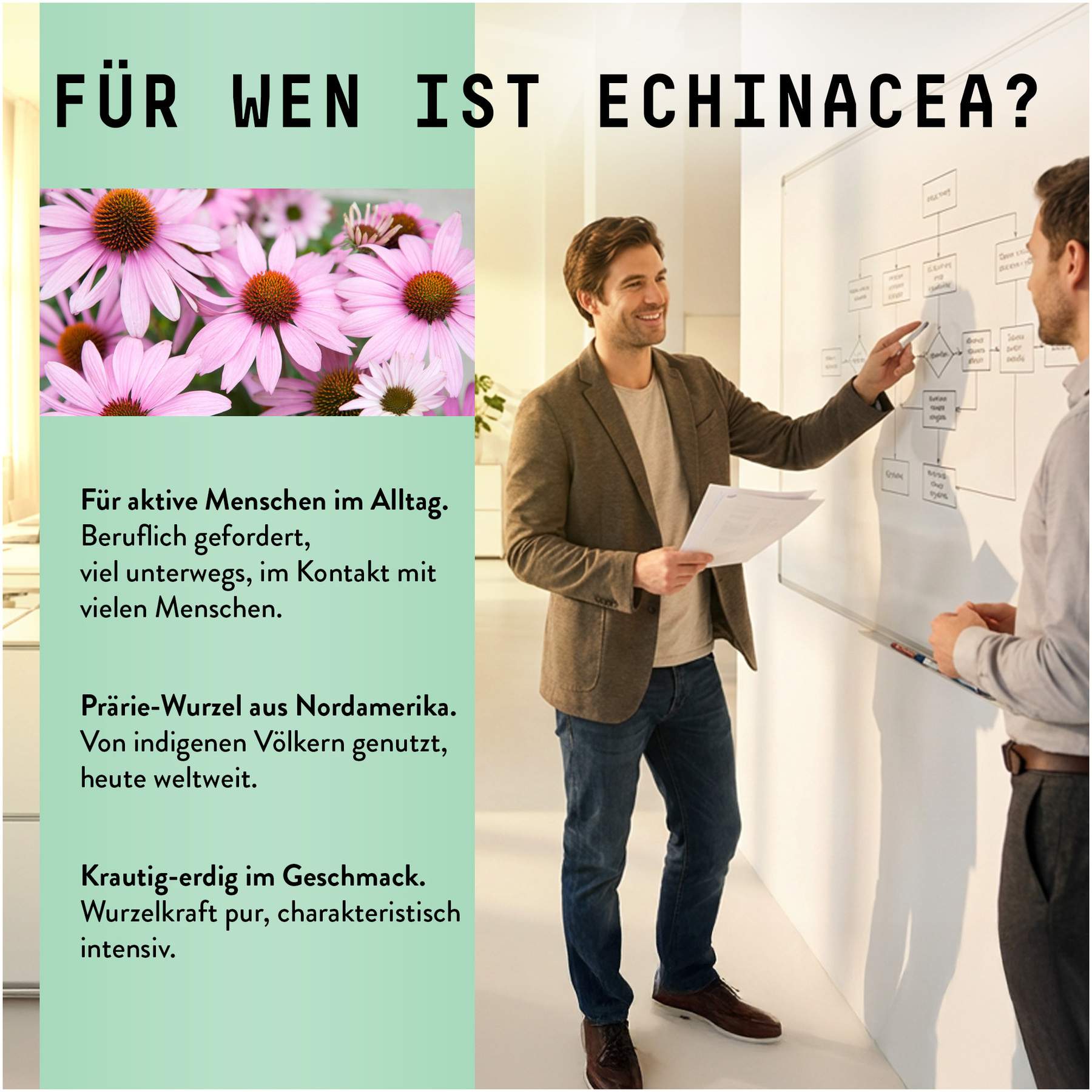 Echinacea Wurzel Extrakt Tropfen alkoholfrei 100 ml
