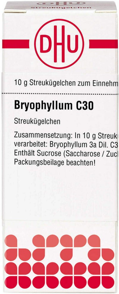 Dhu Bryophyllum C30 Globuli 10 G