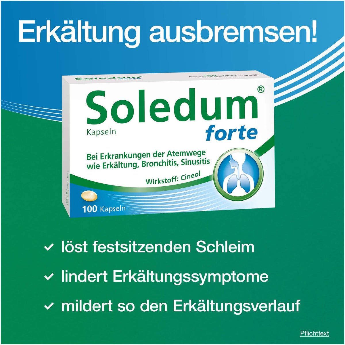 Soledum Kapseln forte 100 magensaftresistente Kapseln