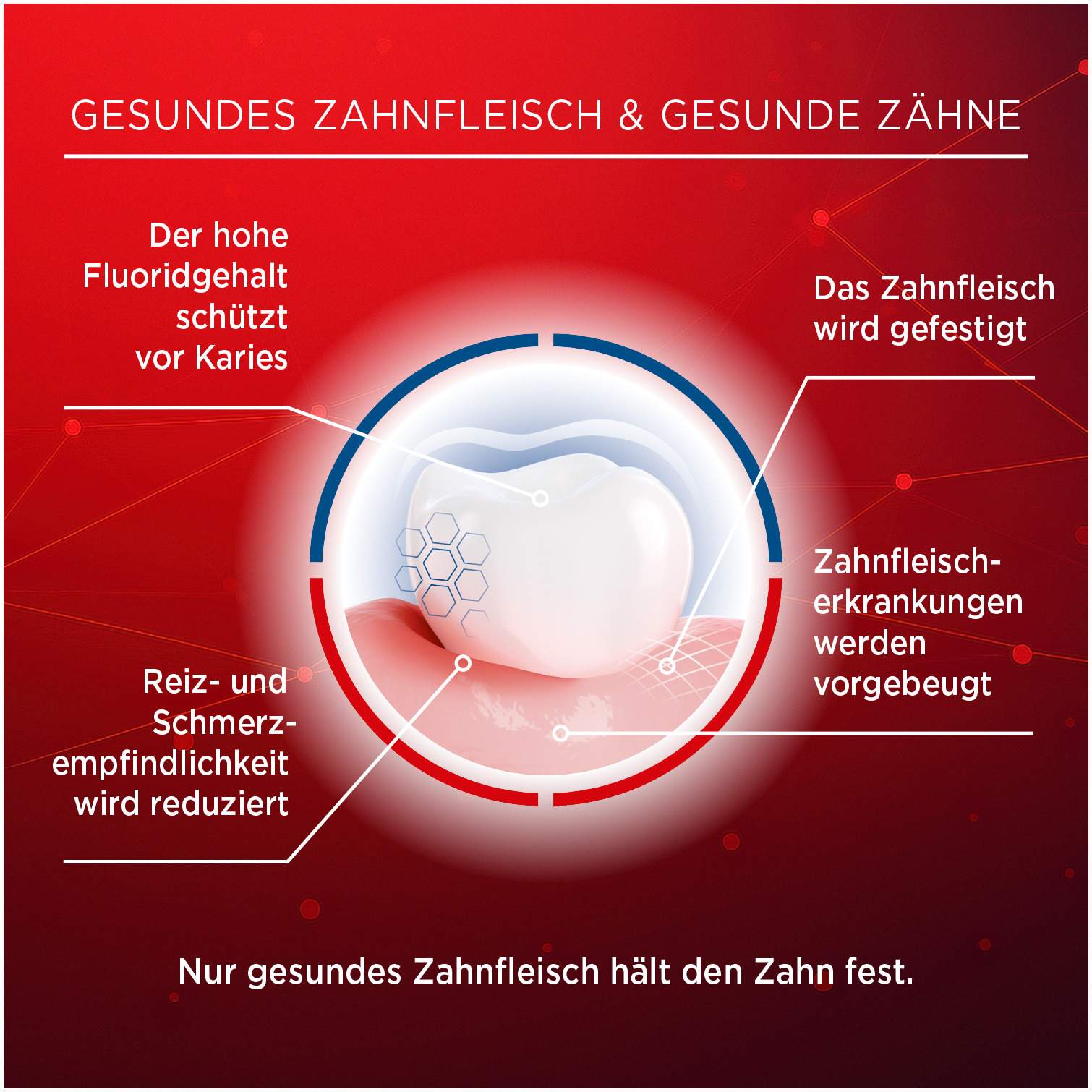 Lacalut Aktiv 100 ml Zahncreme