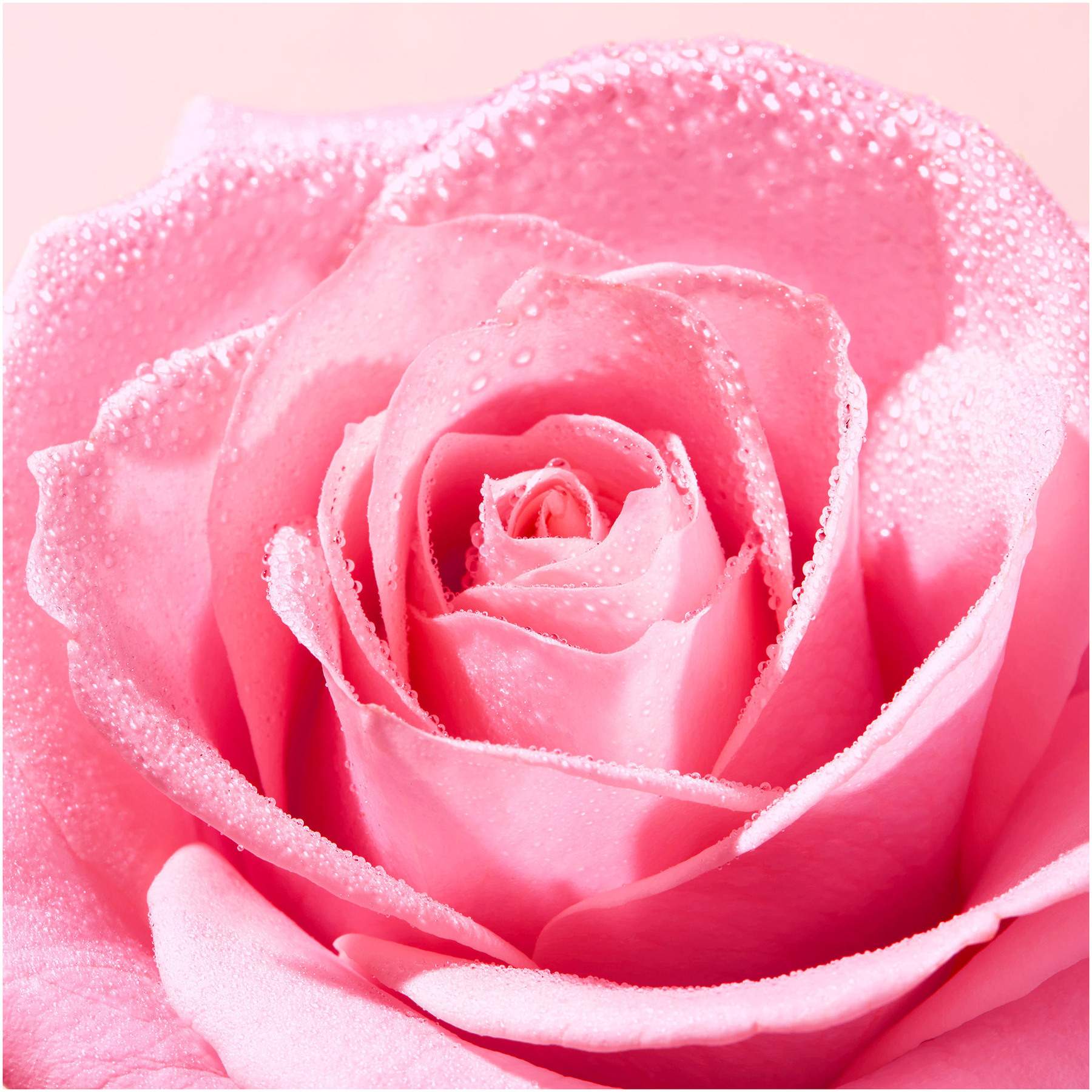 NUXE Very Rose Mizellenwasser 200 ml