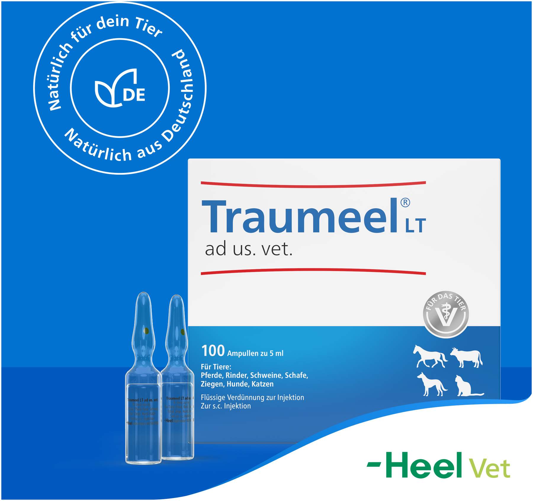 Traumeel LT ad us.vet. 100 x 5 ml Ampullen