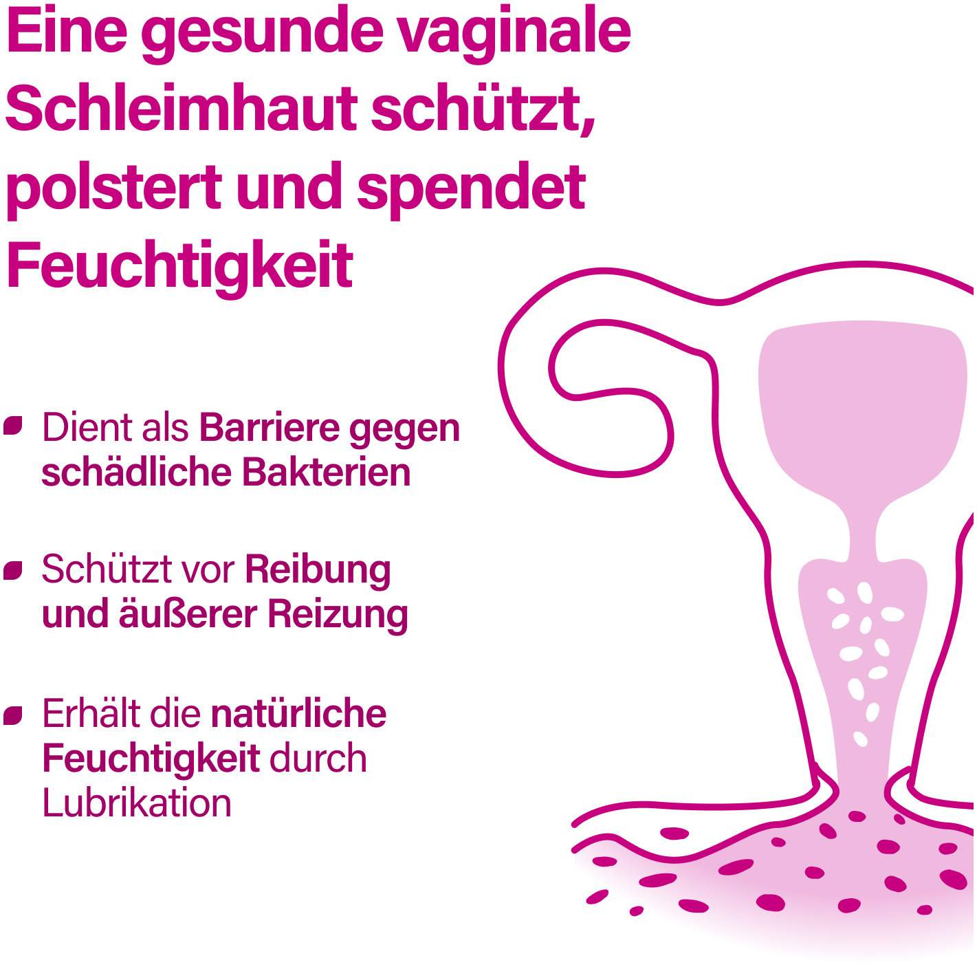 Lacto Intim Forte N45 + Biotin + Vitamin B2 & B3 30 Kapseln