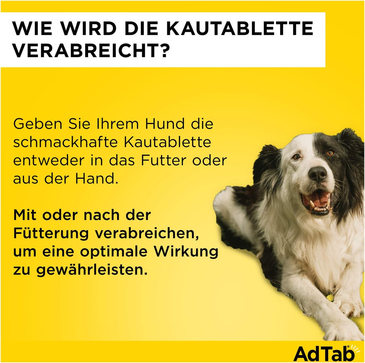 AdTab 225 mg für mittelgroße Hunde (5,5-11 kg) 3 Kautabletten