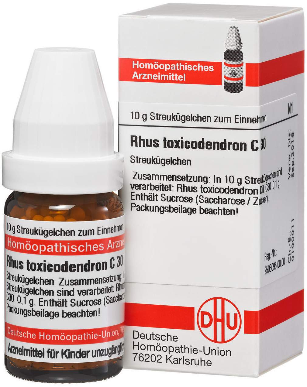 DHU Rhus toxicodendron C30 10 G Globuli