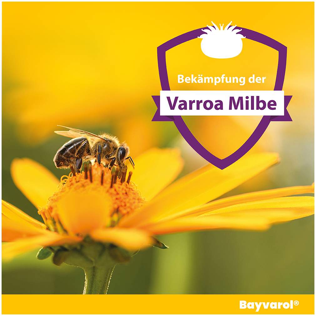 Bayvarol 3,6 mg Streifen für Honigbienen 3 x 5 x 4 Strips