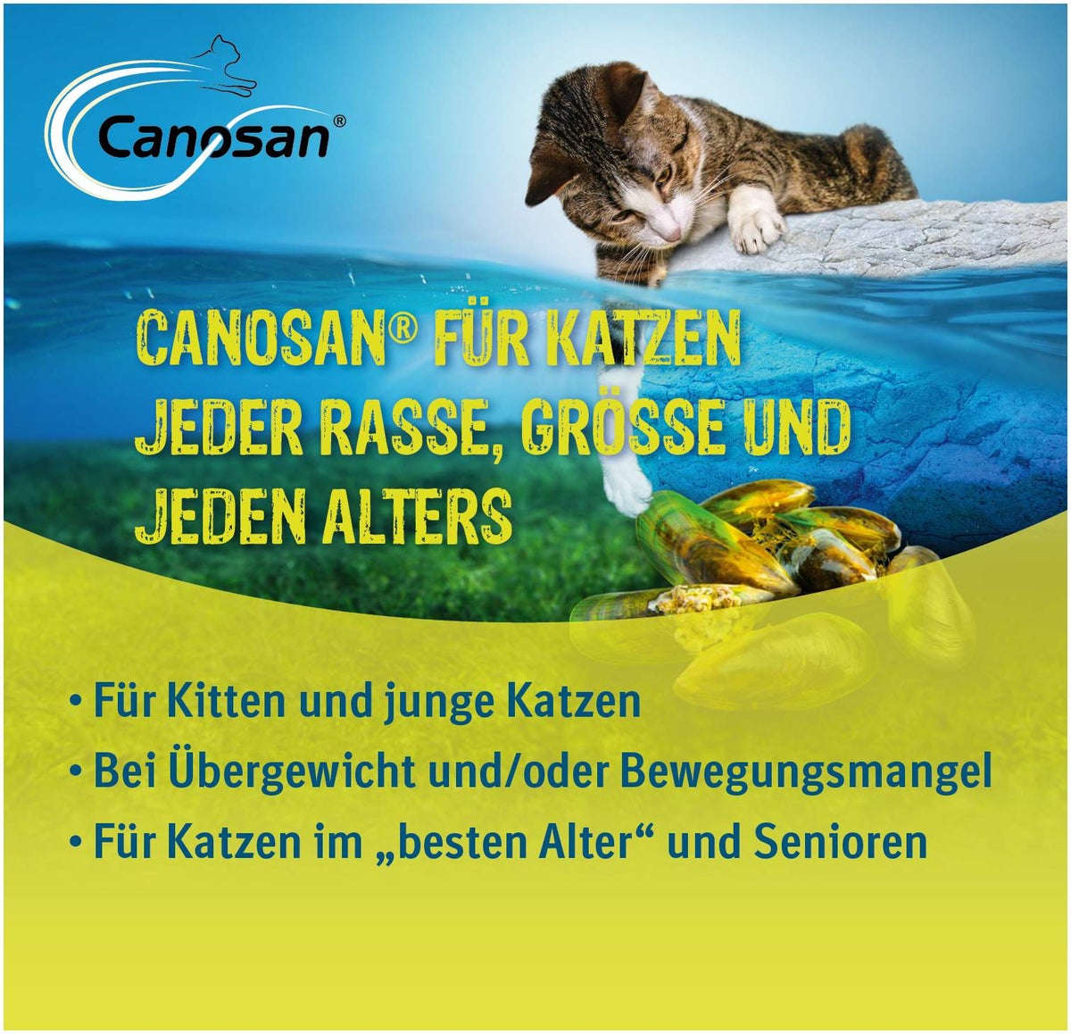 Canosan Für Katzen 30 Kautabletten