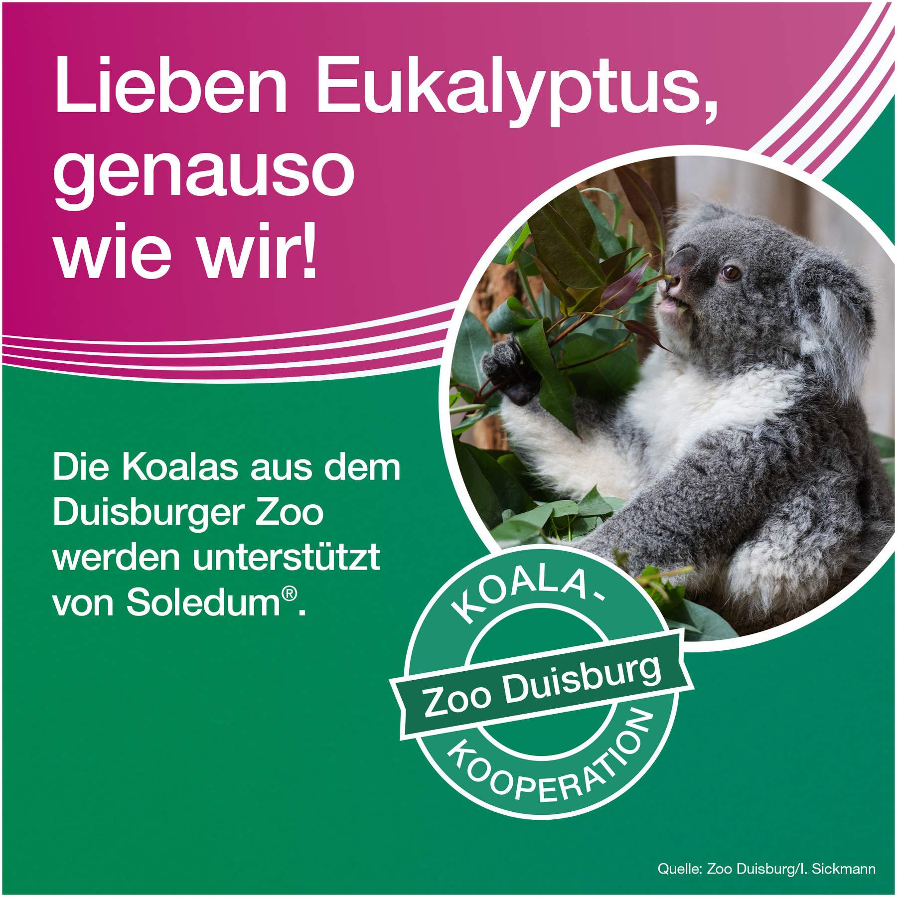 Soledum addicur 200 mg 100 magensaftresistente Weichkapseln
