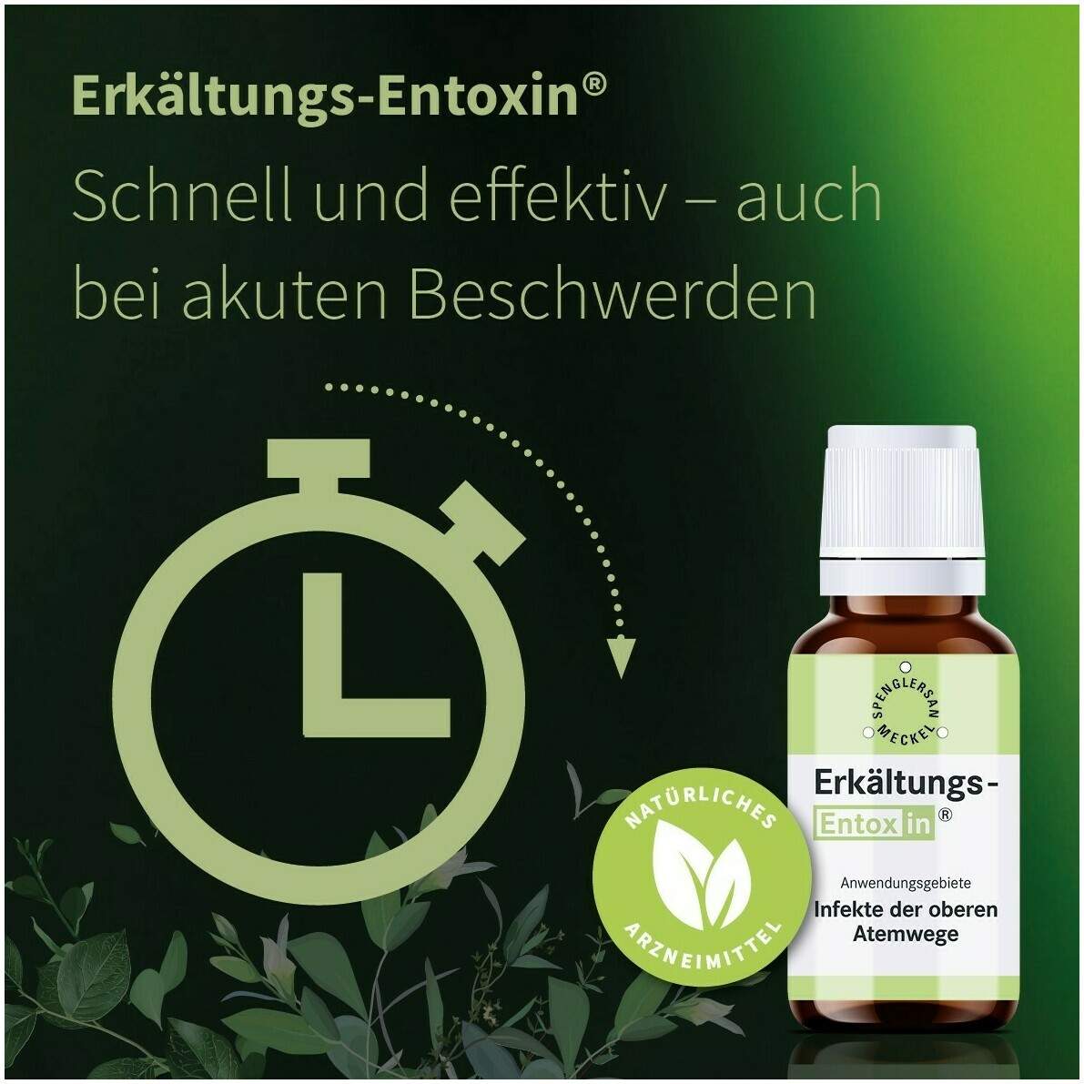 Erkältungs Entoxin 50 ml Tropfen