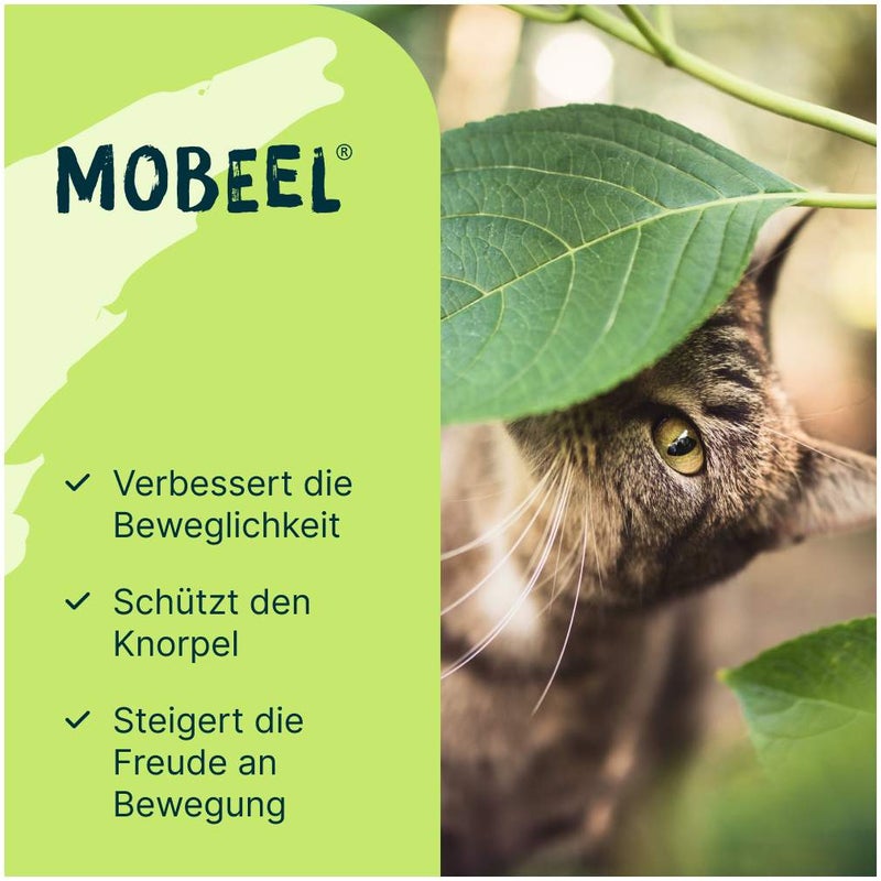 Mobeel Pulver für Hund und Katze 150 g