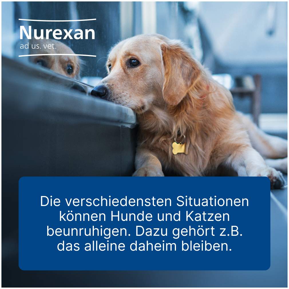 Nurexan Ad Us. vet. 100 Tabletten