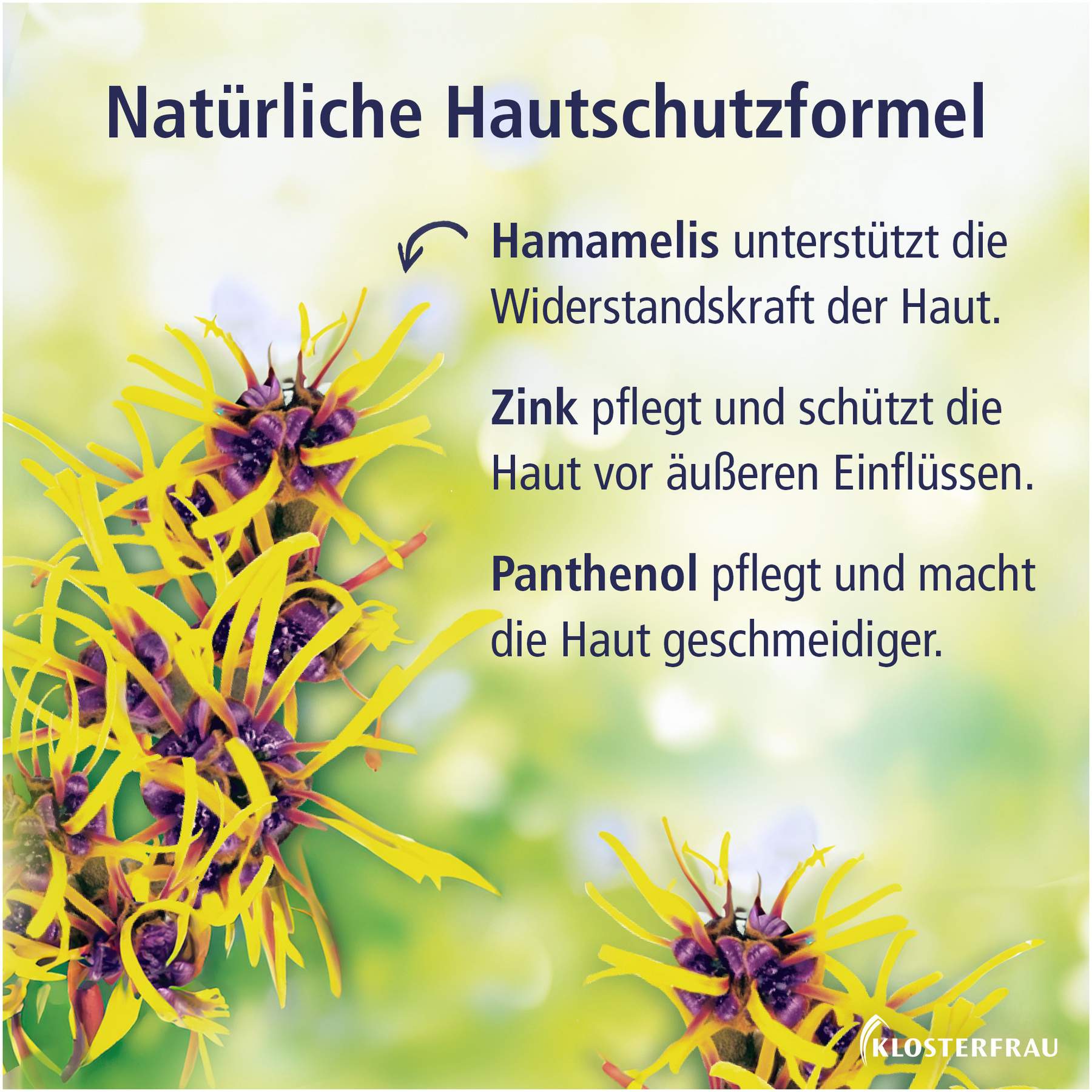 Klosterfrau Hamamelis-Balsam 30 g