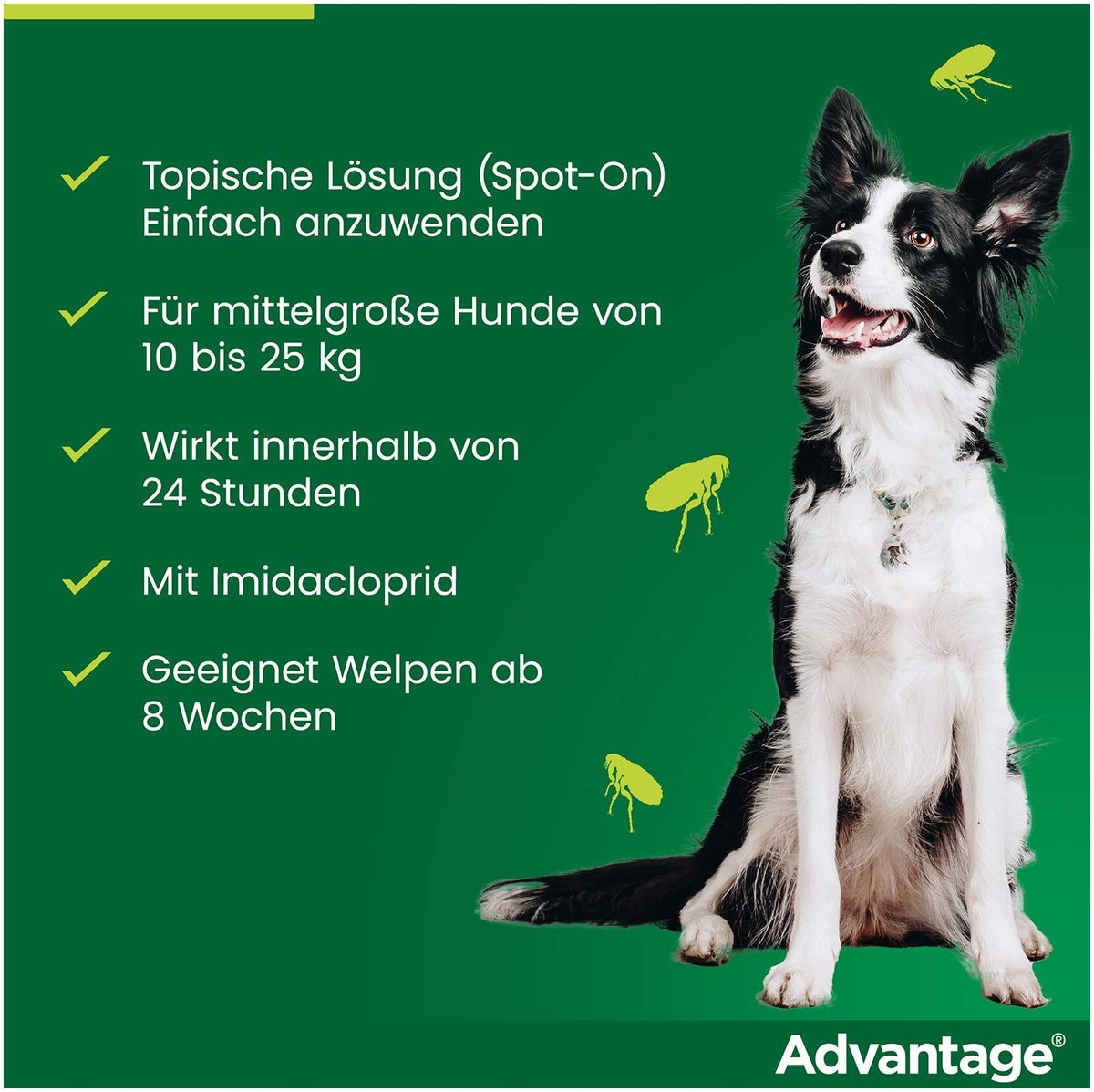 Advantage 250 Lösung für Hunde 10 - 25 kg 4 Einzeldosispipetten