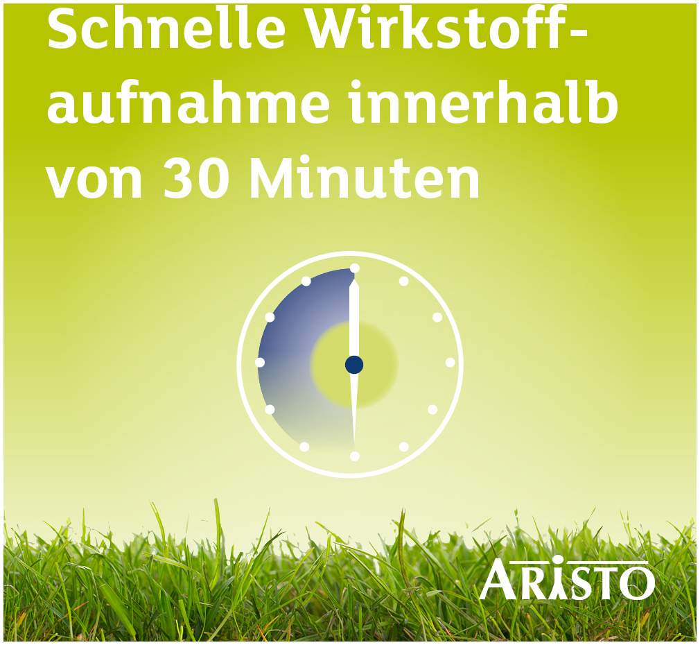 Desloratadin Aristo 5 mg 100 Filmtabletten