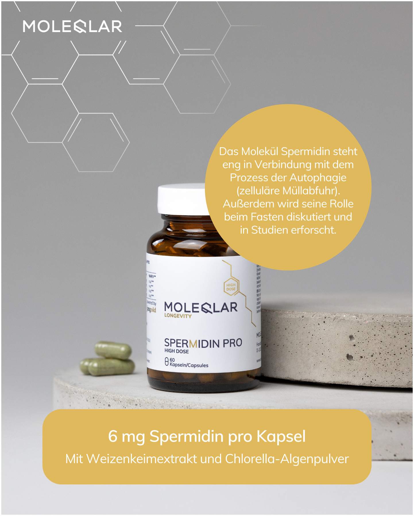 MoleQlar Longevity Spermidin PRO 60 Kapseln