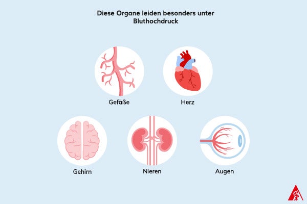 Organe, die besonders unter Bluthochdruck leiden Eine Illustration der Organe, die besonders unter Bluthochdruck leiden. Dazu gehören: Gefäße, Herz, Gehirn, Nieren sowie die Augen.