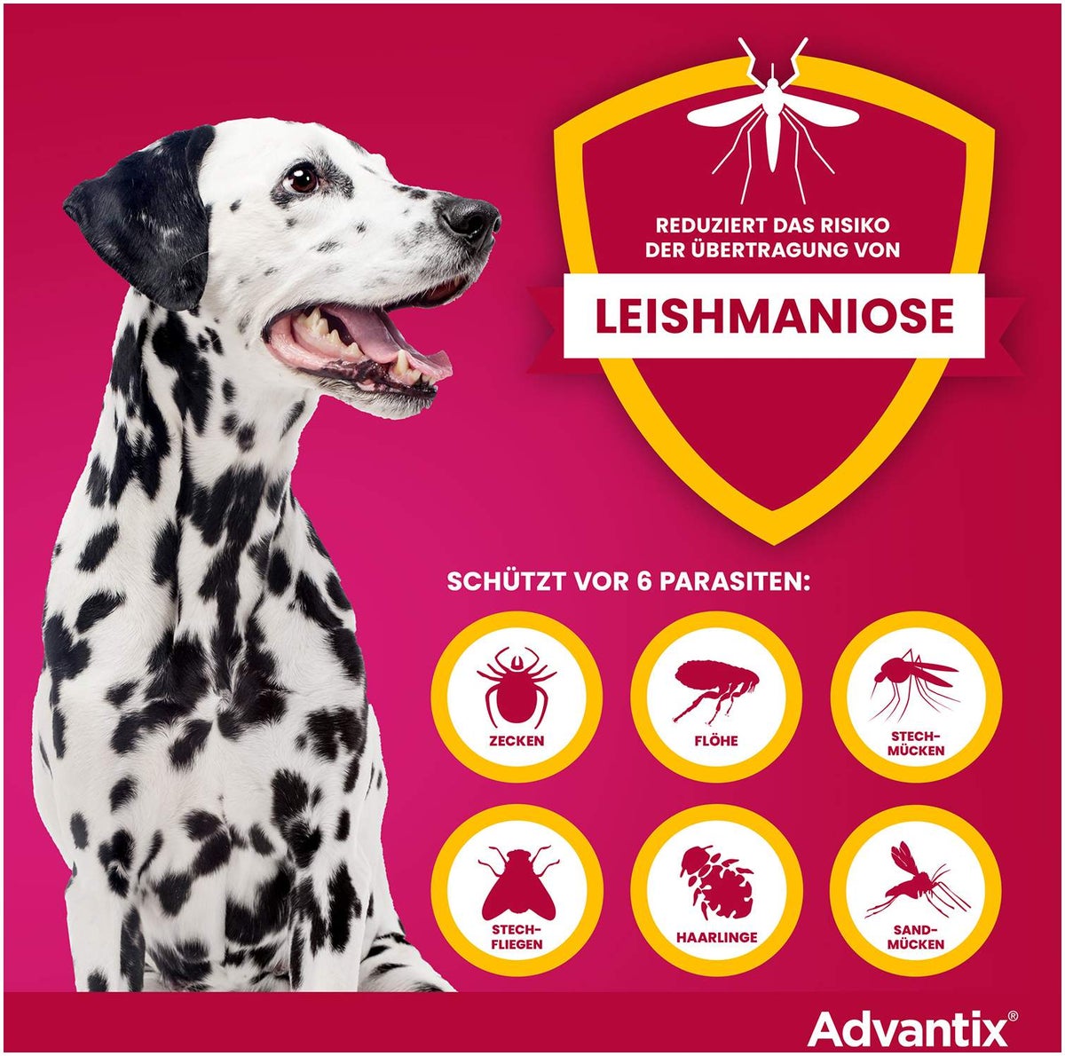 Advantix Spot-On Hund 10-25 kg 4 x 2,5 ml Lösung