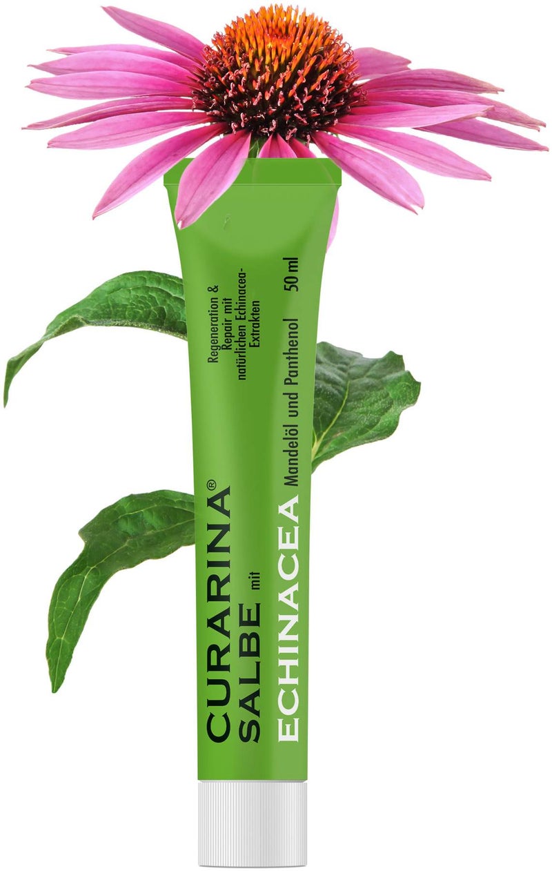 Curarina Salbe Mit Echinacea 50 ml Salbe