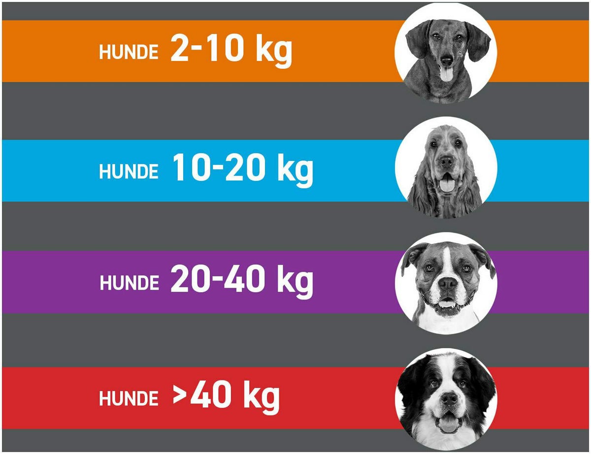 Frontline Combo Spot on Hund XL 40-60 kg 3 Pipetten