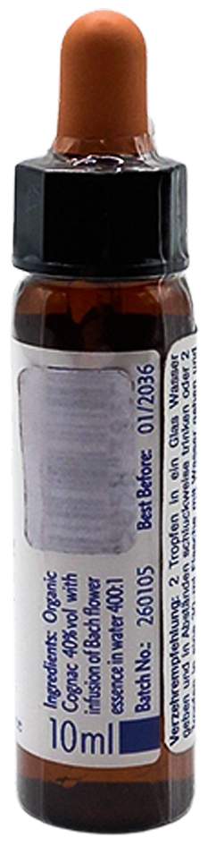 Bachblüten Rock Rose Healing Herbs Tropfen 10 ml