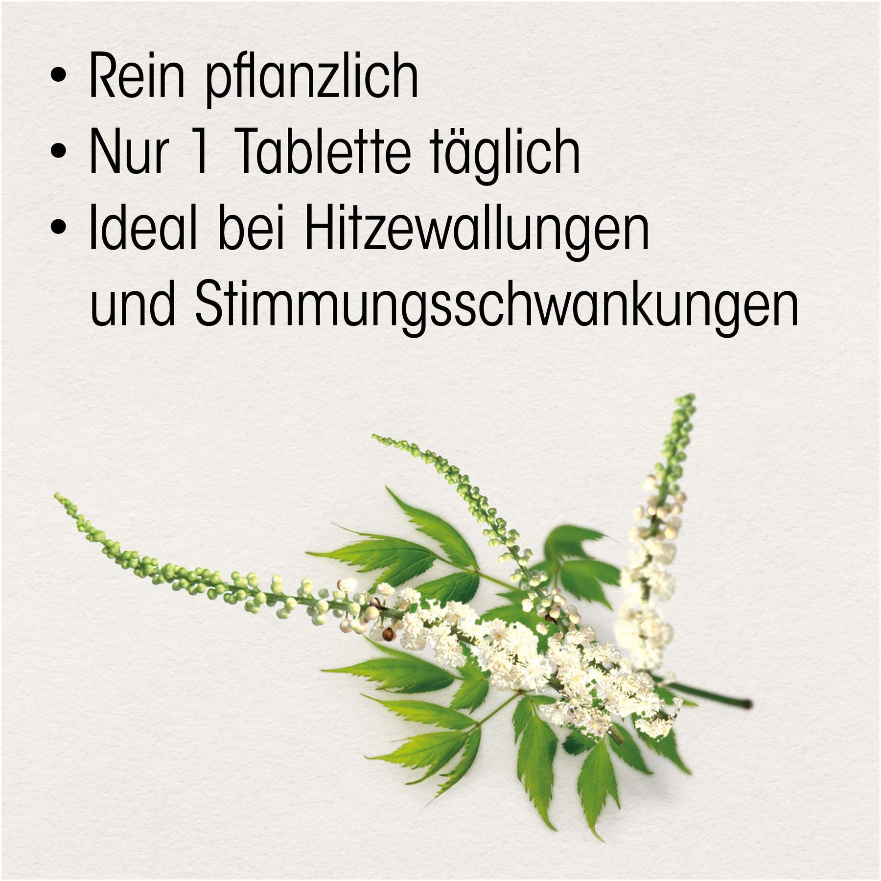 Böhm Traubensilberkerze 6,5 mg 60 Filmtabletten