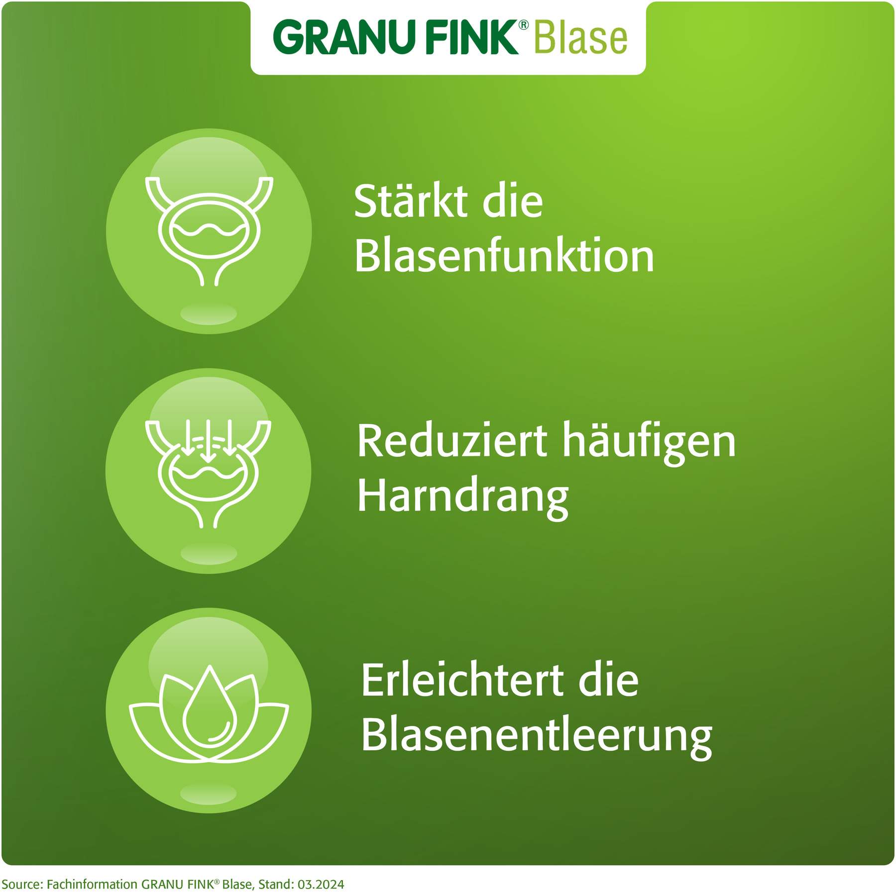 Granu Fink Blase 160 Hartkapseln