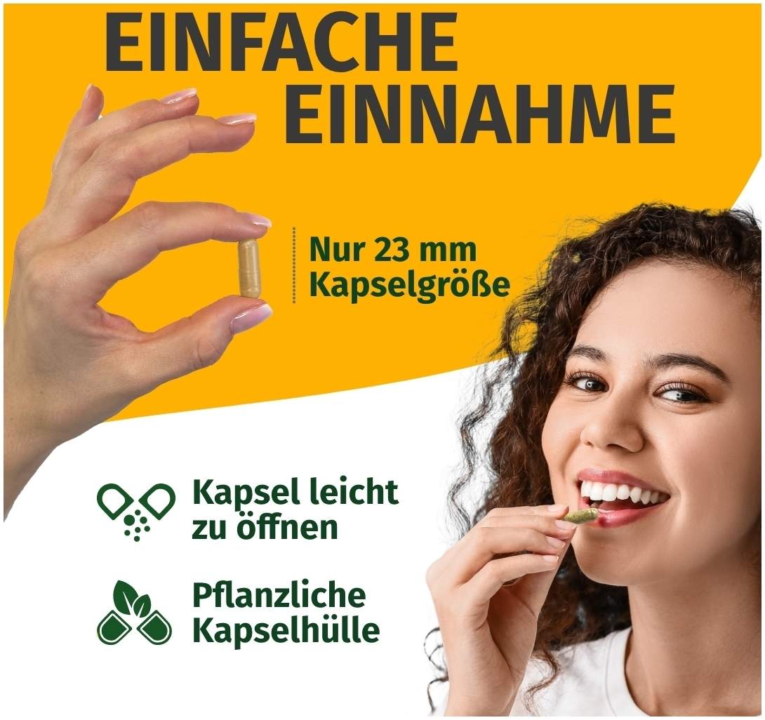 Green Naturals Spermidin Forte 5,5 mg 90 Kapseln
