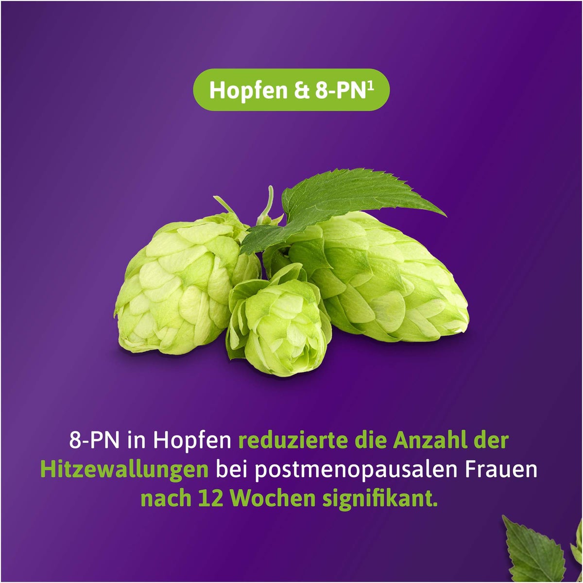 Femibion Menopause Hitzewallungen 30 Tabletten