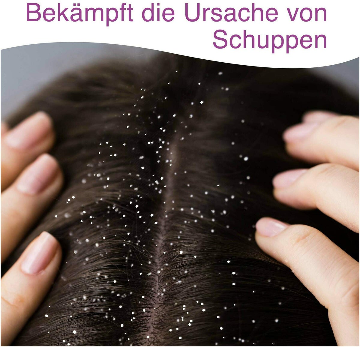 Stieproxal 3-Fach Pflegesystem Shampoo 100 ml