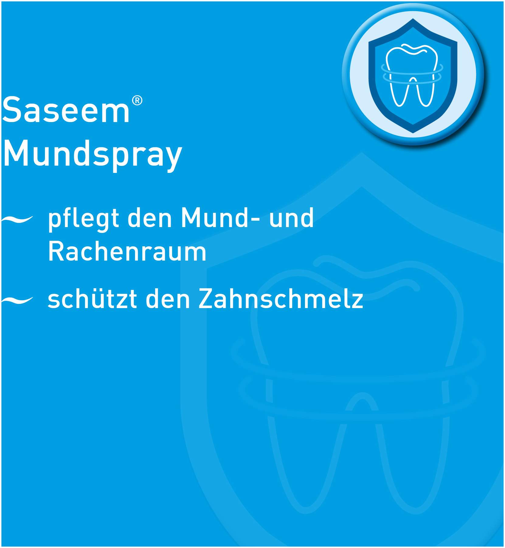 Saseem Mundspray 60 ml Pumplösung
