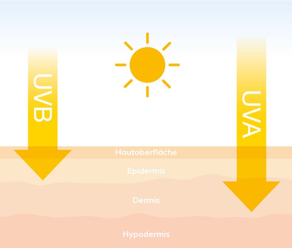 UV-A und UV-B-Strahlen treffen auf unterschiedliche Hautschichten. UV-A und UV-B-Strahlen, die auf unterschiedliche Hautschichten treffen