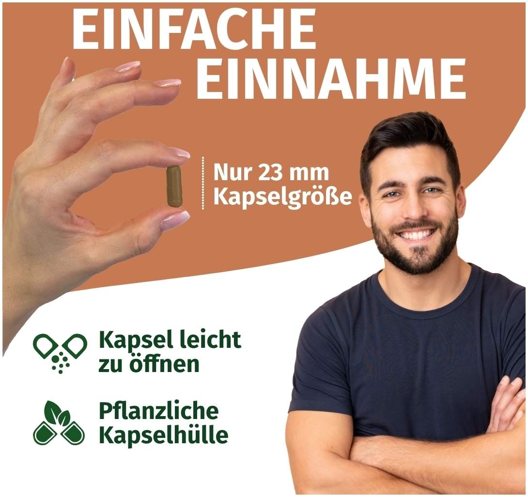 Green Naturals Reishi 650 mg Hochdosiert Vegan 180 Kapseln