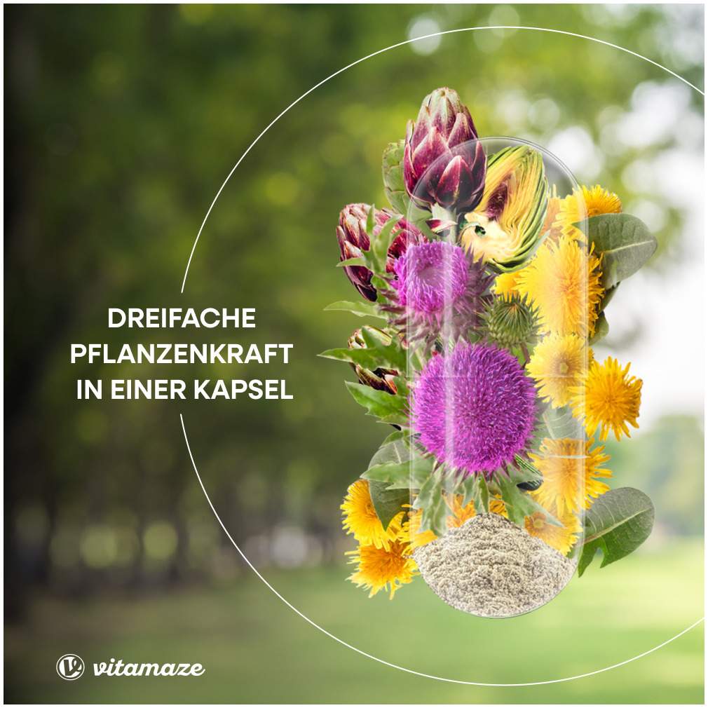 Mariendistel Komplex Artischocke + Löwenzahn 90 Kapseln