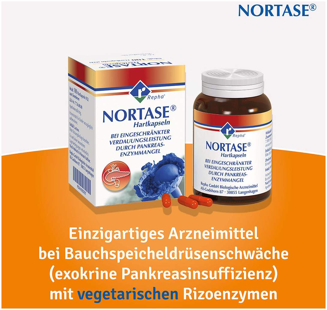 Nortase 50 Kapseln