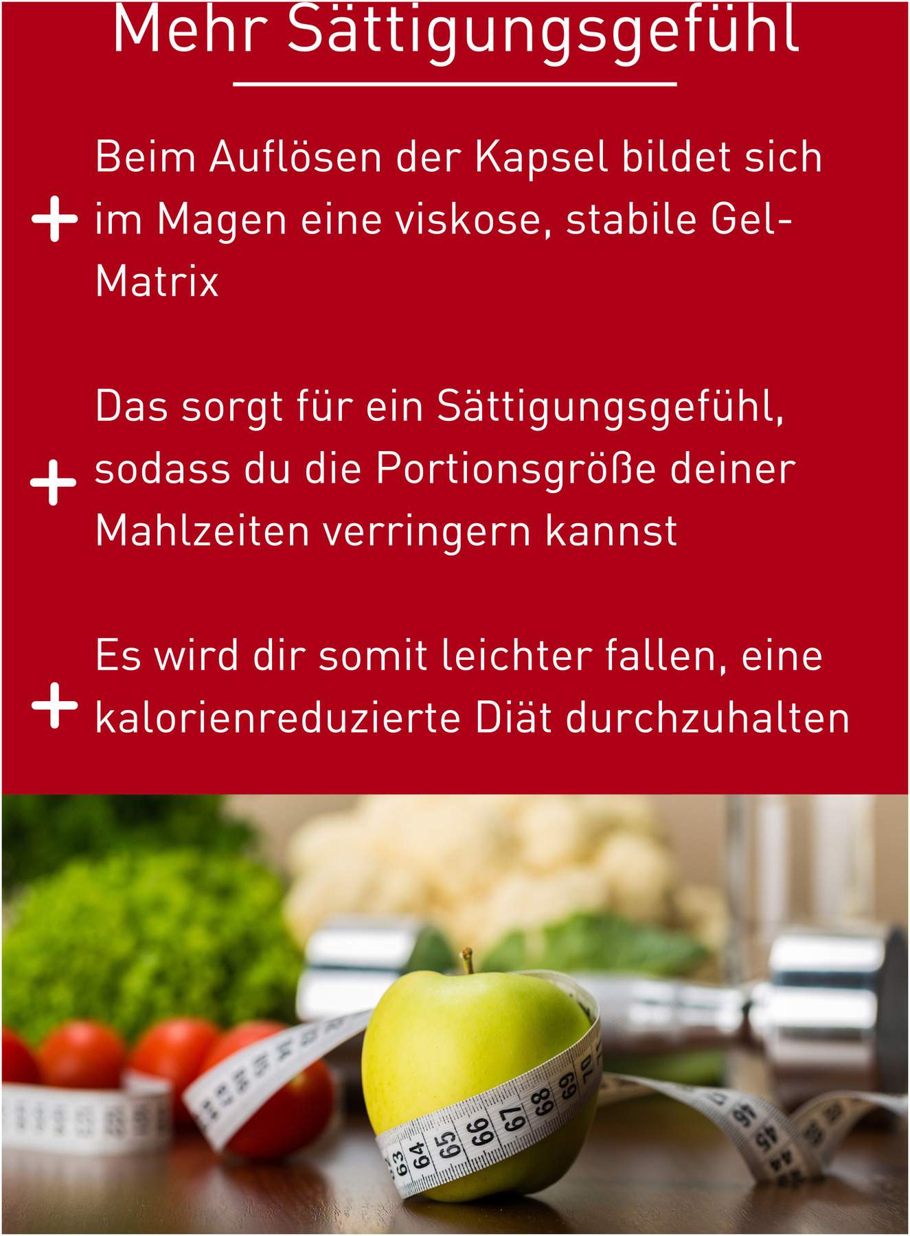 N1 Appetitzügler Kapseln Forte 42 Kapseln