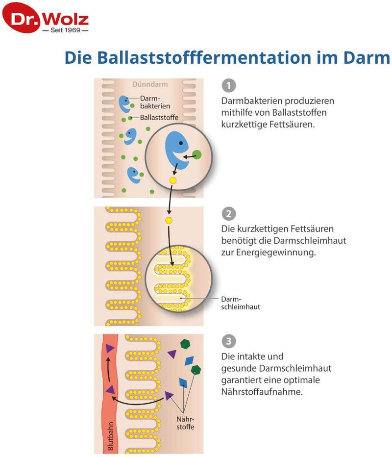 Curabiom Flora Duo Kombipackung 20 Beutel+40 Kapse