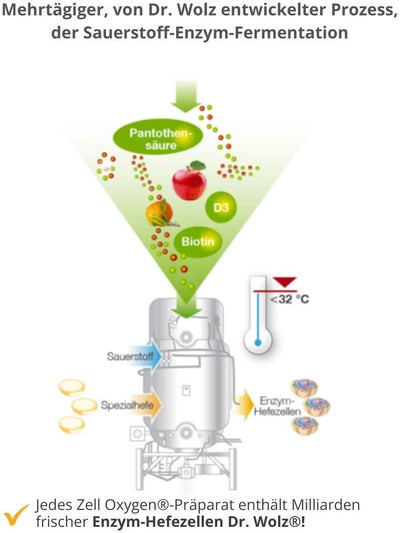 Zell Oxygen Formula Trinkampullen