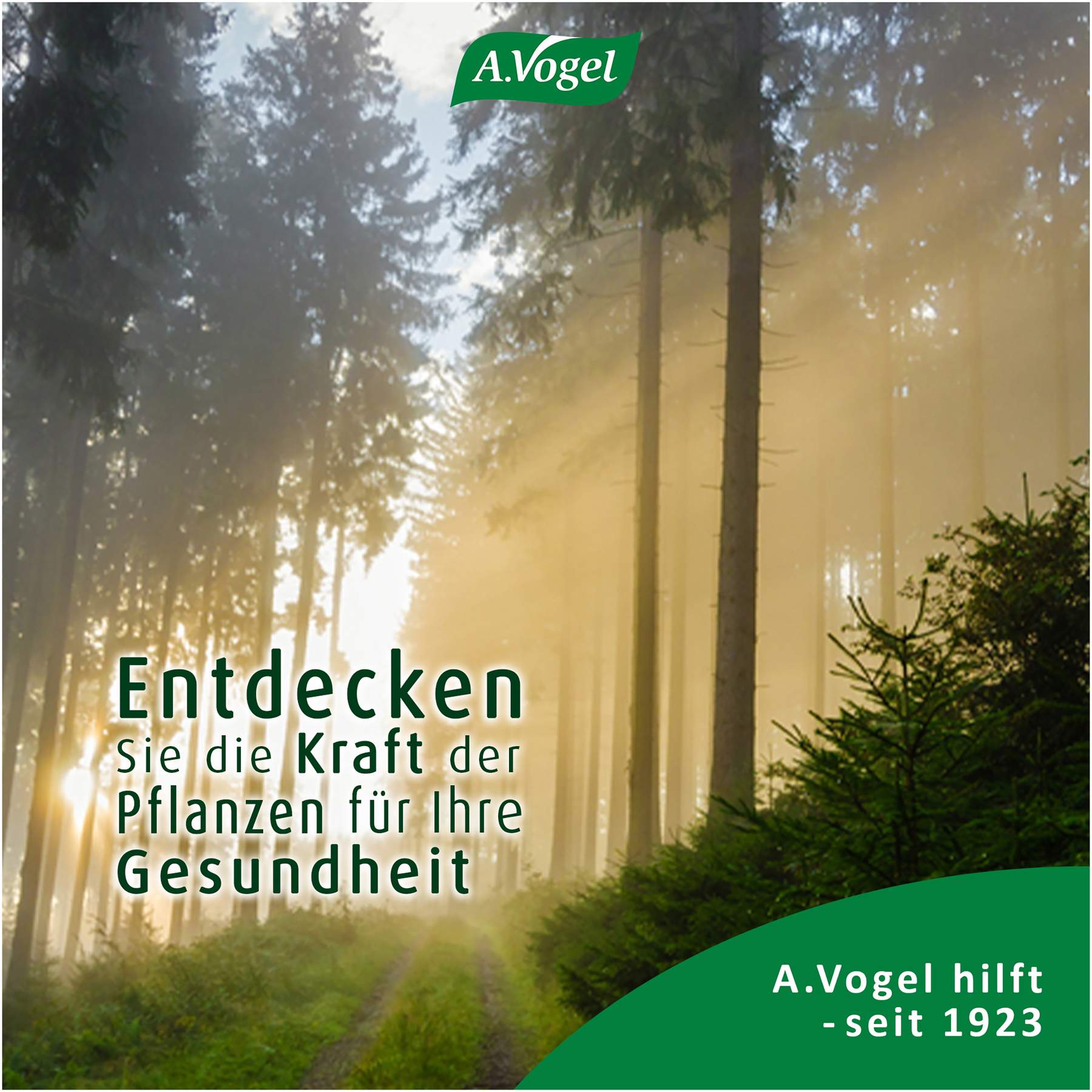 A.Vogel Santasapina ohne Alkohol Rottannen-Sirup 200 ml