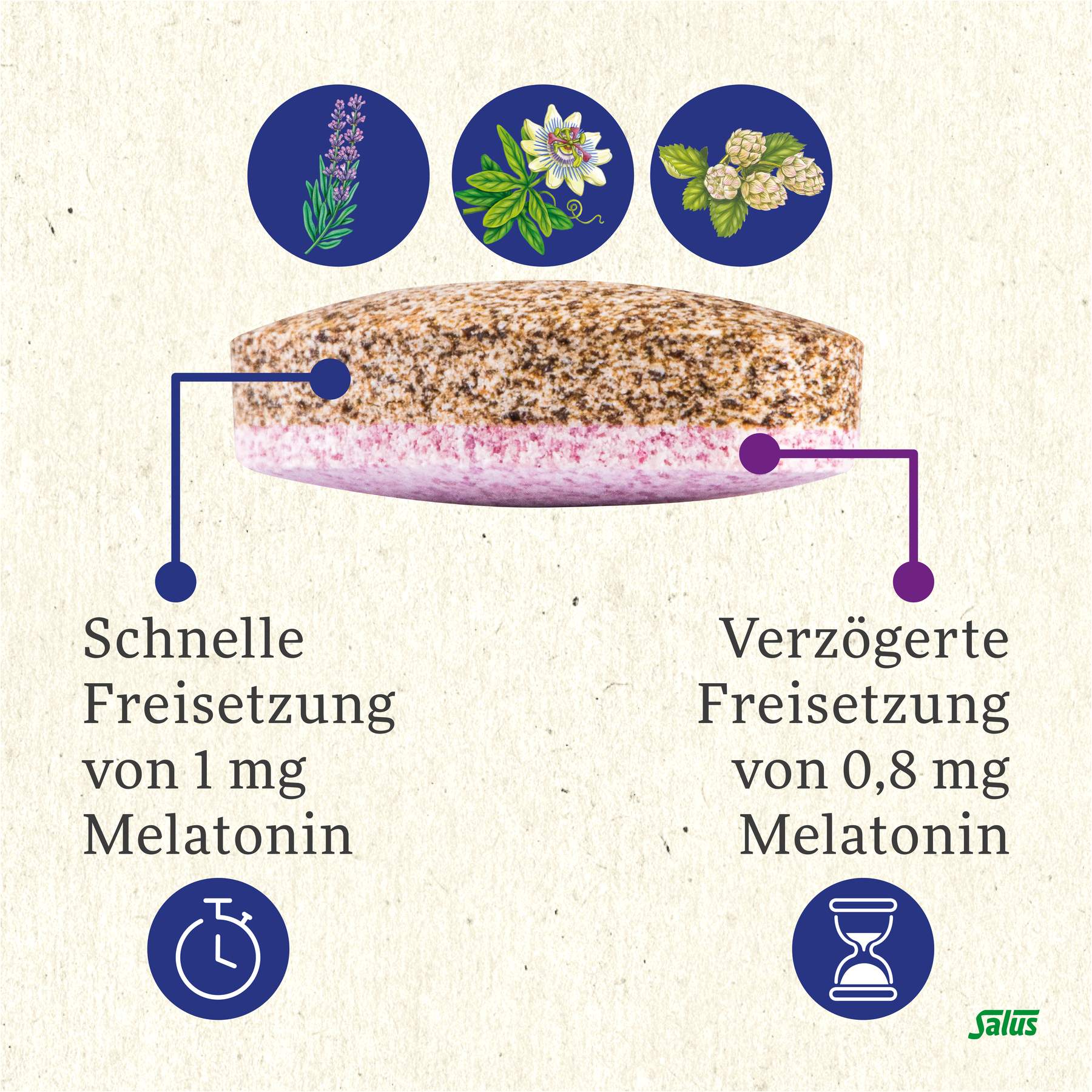 Neuro Sleep Melatonin 2-Phasen Tabletten Salus 60 Stück