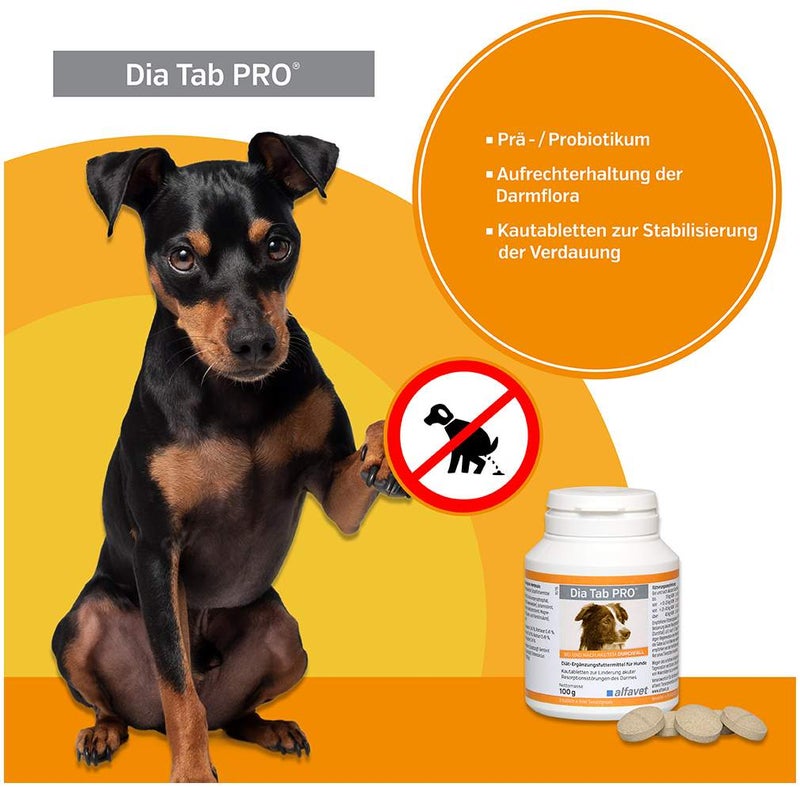 Dia Tab Pro Kautabletten für Hunde und Katzen 100 g