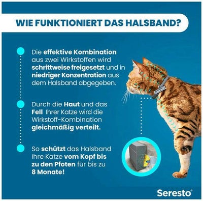 Seresto Halsband für Katzen 1 Stück