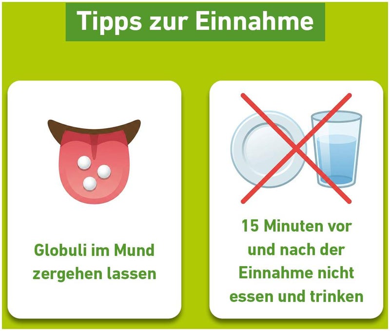 Rhus Toxicodendron C 30 Globuli Pflüger Globulispender 10 g