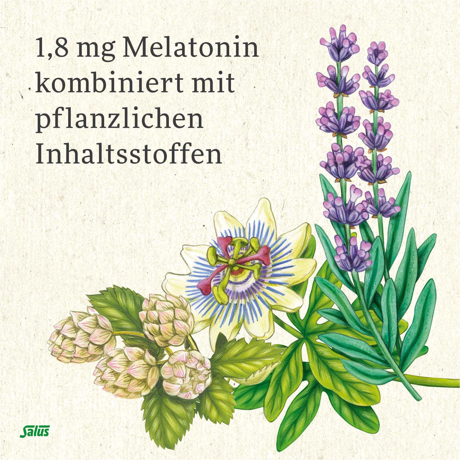 Neuro Sleep Melatonin 2-Phasen Tabletten Salus 60 Stück