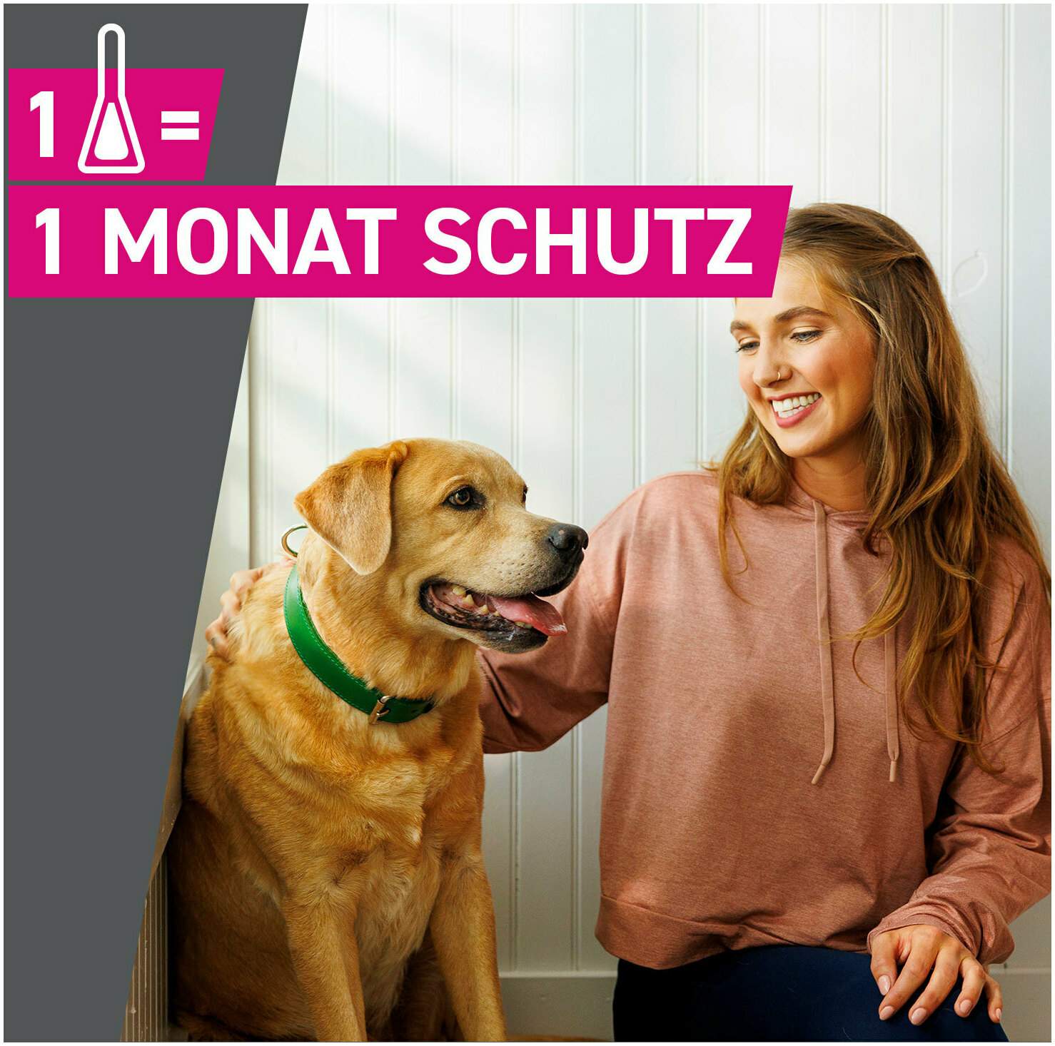 Frontline TRI-ACT Hund 40-60 kg 6 Pipetten